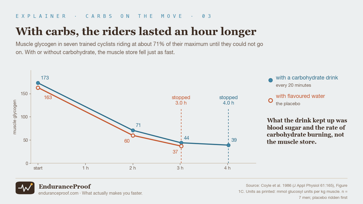 Line chart of muscle glycogen over time in seven cyclists. With a carbohydrate drink: 173 at the start, 71 after 2 hours, 44 after 3 hours, 39 at 4 hours when they stopped. With flavoured water: 163, 60 after 2 hours and 37 when they stopped at 3.0 hours. The two lines fall at the same rate.