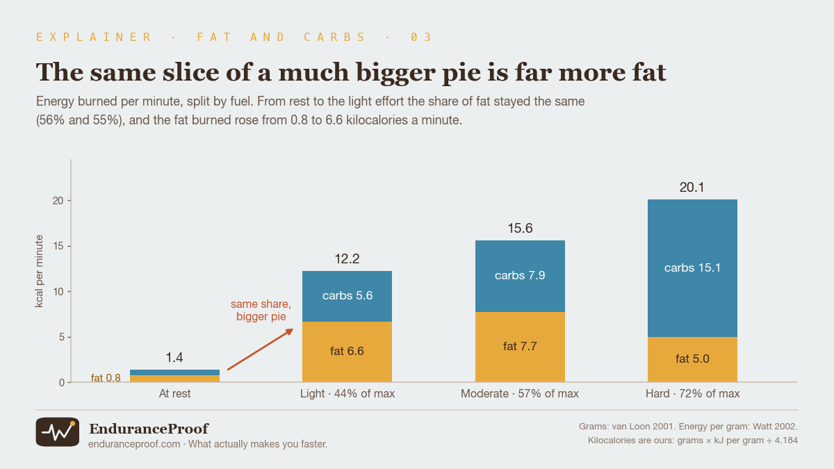 Stacked bars of energy burned per minute in kilocalories, our own conversion. At rest 1.4 in total, of which fat 0.8. Light effort 12.2: fat 6.6, carbohydrate 5.6. Moderate effort 15.6: fat 7.7, carbohydrate 7.9. Hard effort 20.1: fat 5.0, carbohydrate 15.1. An arrow from the resting bar to the light bar reads same share, bigger pie.
