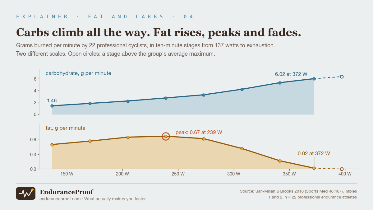 Two line charts against power output for 22 professional cyclists. Carbohydrate rises steadily from 1.46 grams per minute at 137 watts to 6.02 at 372 watts. Fat rises from 0.50 to a peak of 0.67 grams per minute at 239 watts, then falls to 0.02 at 372 watts. A final stage at 397 watts is drawn with open circles: 6.37 for carbohydrate and 0.00 for fat.