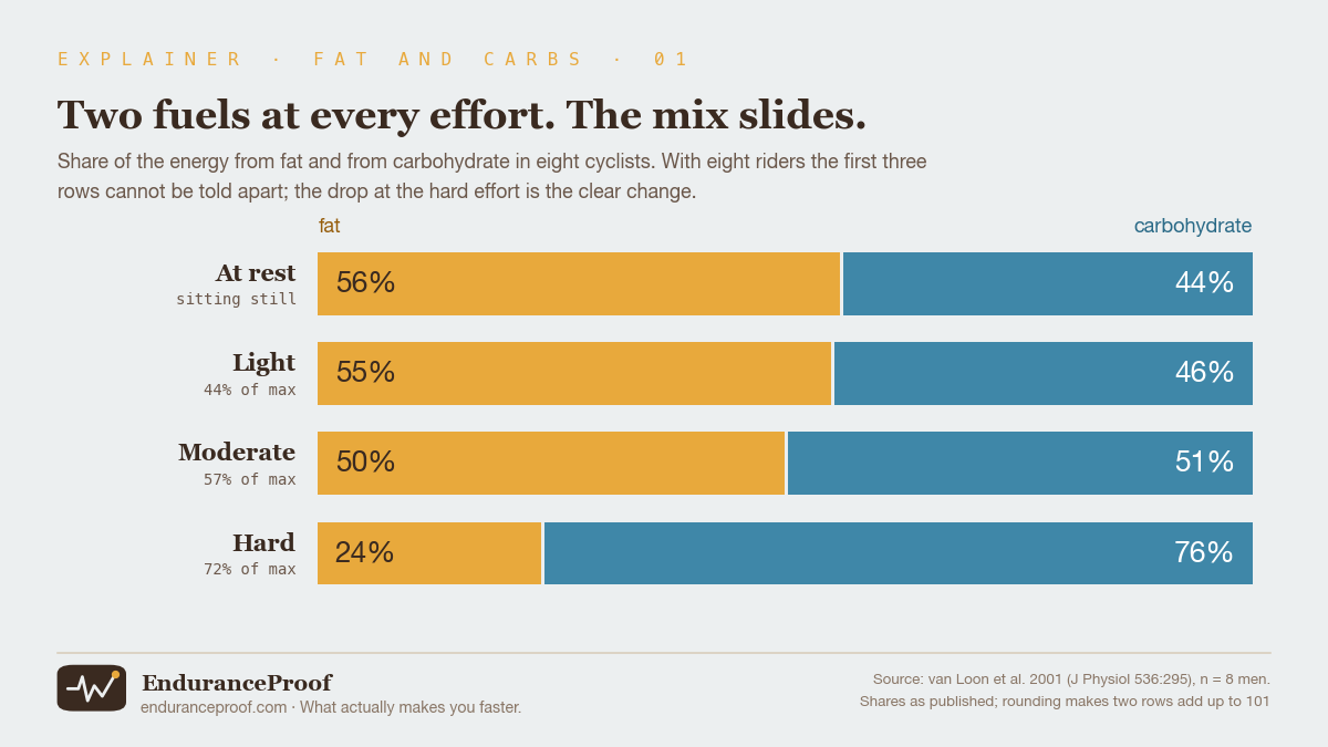 Four horizontal bars, each split into fat and carbohydrate. At rest: 56% fat, 44% carbohydrate. Light effort, 44% of maximum: 55% fat, 46% carbohydrate. Moderate effort, 57% of maximum: 50% fat, 51% carbohydrate. Hard effort, 72% of maximum: 24% fat, 76% carbohydrate. Eight male cyclists.