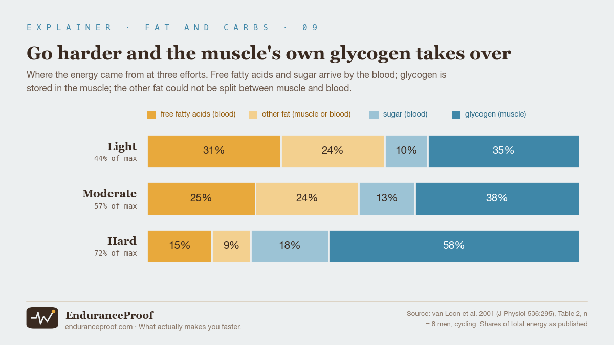 Three bars split in four. Light effort: free fatty acids from the blood 31%, other fat 24%, sugar from the blood 10%, glycogen in the muscle 35%. Moderate effort: 25%, 24%, 13%, 38%. Hard effort: 15%, 9%, 18%, 58%.