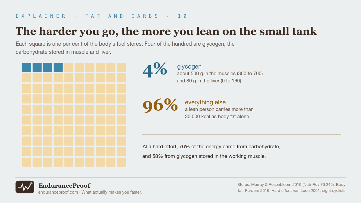 A grid of one hundred squares, four of them blue. Glycogen is 4% of the body's fuel stores: about 500 grams in the muscles, range 300 to 700, and 80 grams in the liver, range 0 to 160. The other 96% is everything else; a lean person carries more than 30,000 kilocalories as body fat alone. At a hard effort 76% of the energy came from carbohydrate and 58% from glycogen in the working muscle.