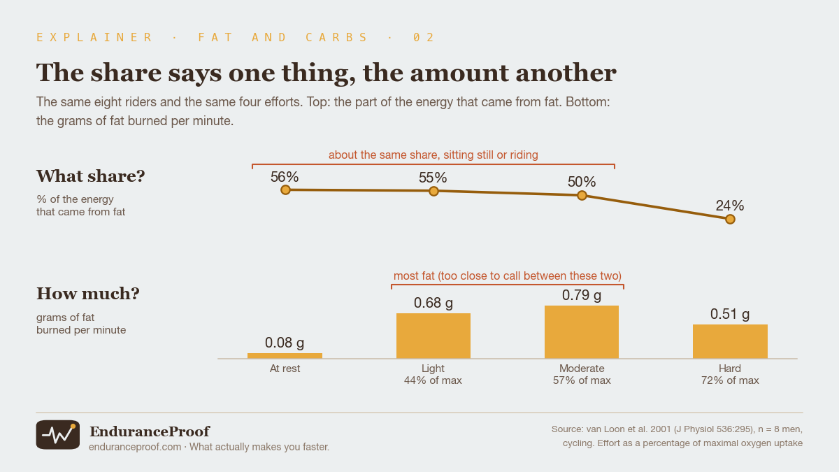 Two panels over the same four efforts. Top, the share of energy from fat: 56% at rest, 55% at the light effort, 50% at the moderate effort, 24% at the hard effort; a bracket over the first three reads about the same share, sitting still or riding. Bottom, grams of fat burned per minute: 0.08 at rest, 0.68, 0.79 and 0.51; a bracket over the light and moderate bars reads most fat, too close to call between these two.