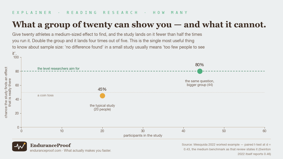 Chart: with 20 participants a study has a 45% chance of finding a real medium-sized effect; with 44 participants that rises to 80%. A dotted line marks the coin-toss level and a dashed line the 80% level researchers aim for.