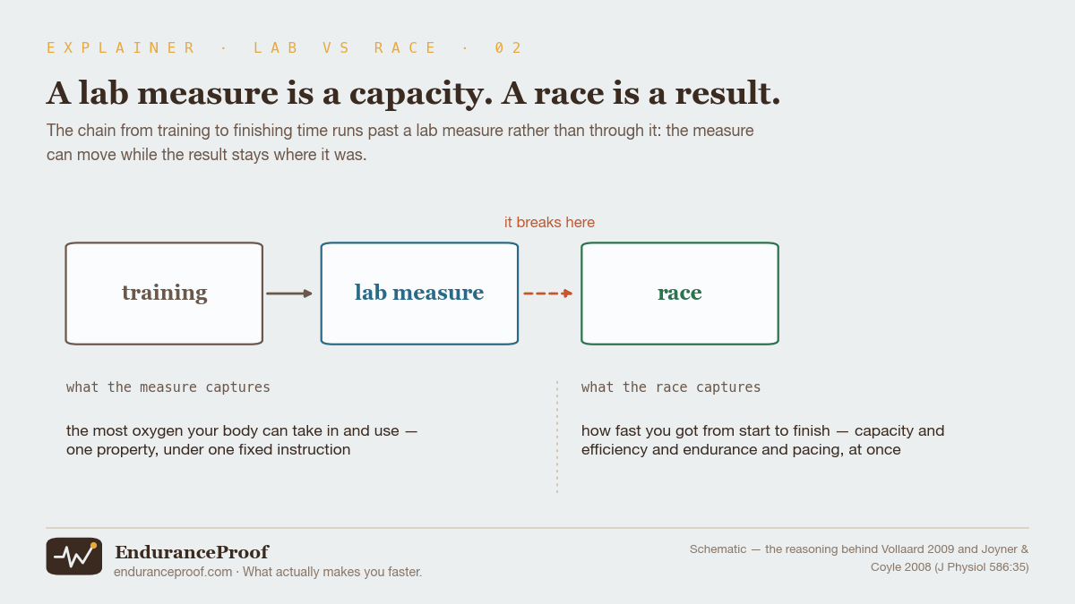 Three boxes in a row labelled training, laboratory measure and race, joined by arrows. The arrow from training to the laboratory measure is solid. The arrow from the laboratory measure to the race is dashed and orange, marked here it breaks. Below, two columns of text describe what each of the two things measures.