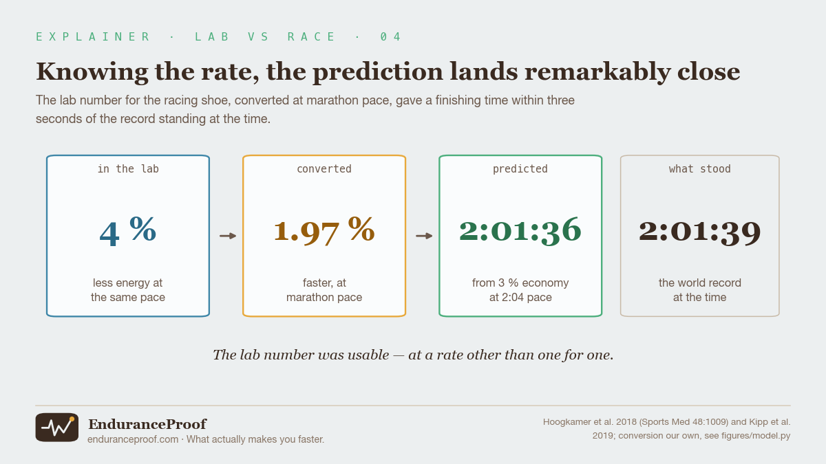 Four cards in a row. The first, in the lab, reads 4 per cent, less energy at the same pace. The second, converted, reads 1.97 per cent, a faster time at marathon pace. The third, predicted, reads 2 hours 1 minute 36 seconds. The fourth, separated slightly, reads what actually stood: 2 hours 1 minute 39 seconds, the world record at the time.