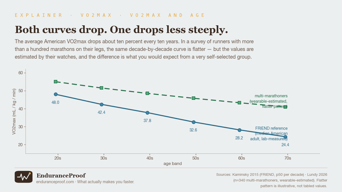 A comparison of two age curves. The solid line is the FRIEND reference median for men, dropping steadily from 48 to 24 across five decades. The dashed line sits higher and drops less steeply — a schematic of the flatter pattern reported in a survey of multi-marathoners.