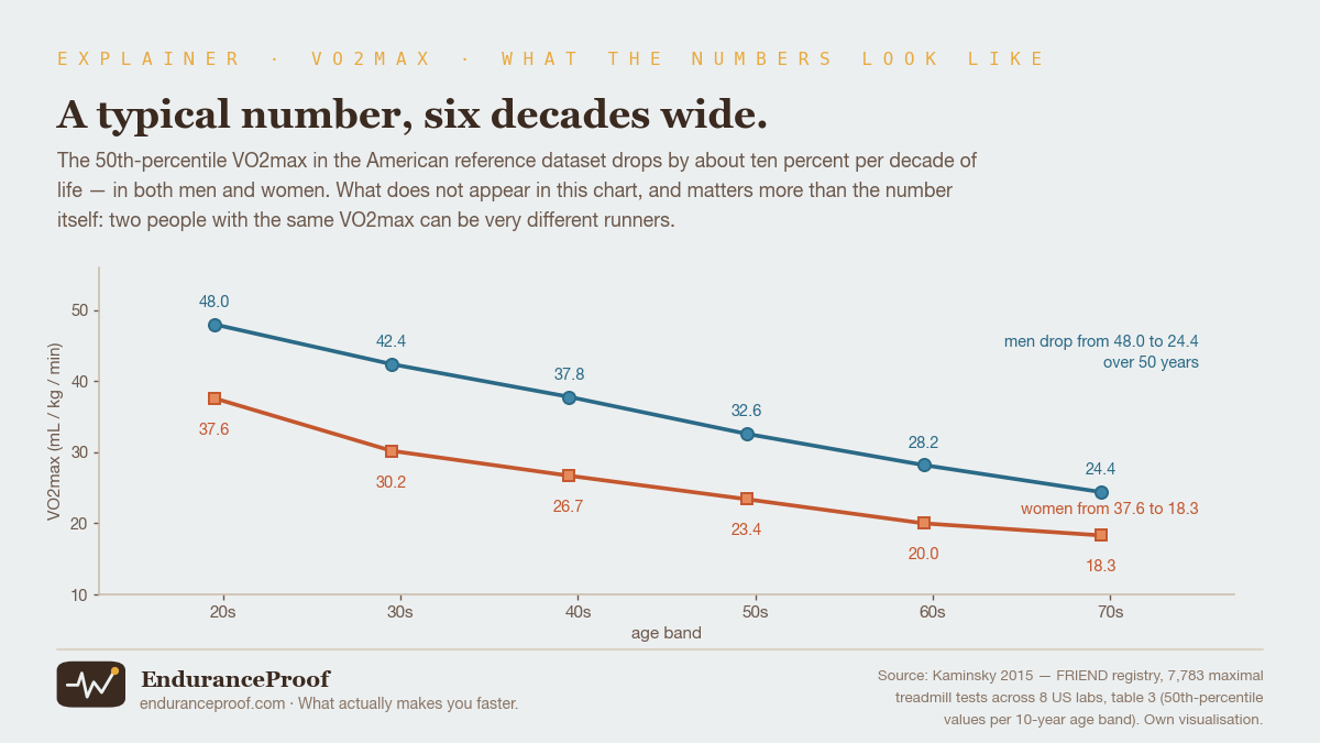 Line chart of the 50th-percentile VO2max in the FRIEND reference dataset by ten-year age band, from the twenties to the seventies. Men drop from 48.0 mL/kg/min to 24.4, women from 37.6 to 18.3, in both sexes about ten percent per decade.
