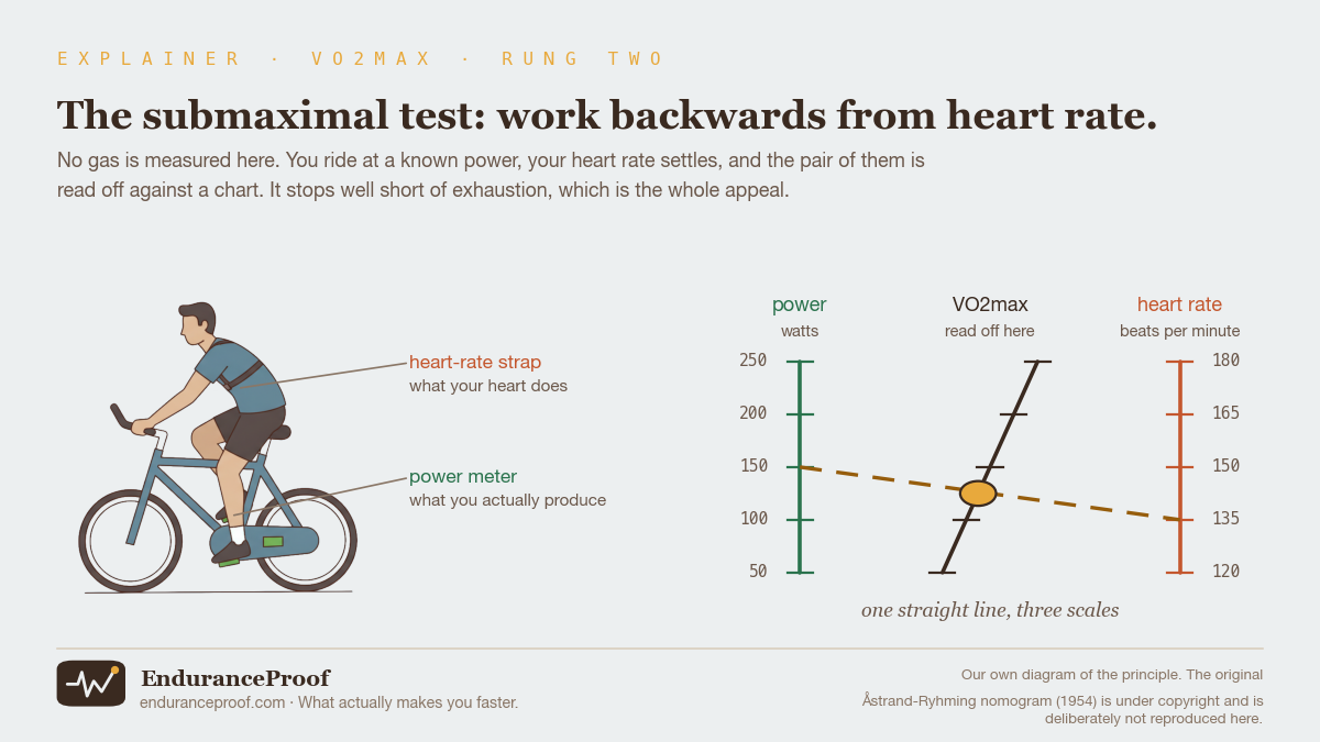 A cyclist wearing a heart-rate strap on the chest and riding a bike fitted with a power meter, next to a three-scale chart: a power scale on the left, a heart-rate scale on the right, and a slanted middle scale where the VO2max value is read off. A straight line drawn between a power value and a heart-rate value crosses the middle scale at the estimate.