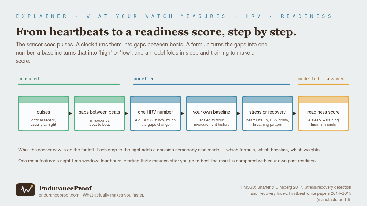 Six boxes left to right joined by arrows. Pulses, optical sensor usually at night, and gaps between beats in milliseconds, both green under the heading measured. One HRV number such as RMSSD, your own baseline scaled to your measurement history, and stress or recovery from heart rate up, HRV down and breathing pattern, all blue under the heading modelled. Readiness score, plus sleep, plus training load, plus a scale, in amber under the heading modelled plus assumed. Notes below: each step to the right adds a decision somebody else made; one manufacturer's night-time window is four hours starting thirty minutes after going to bed, compared with your own past readings.